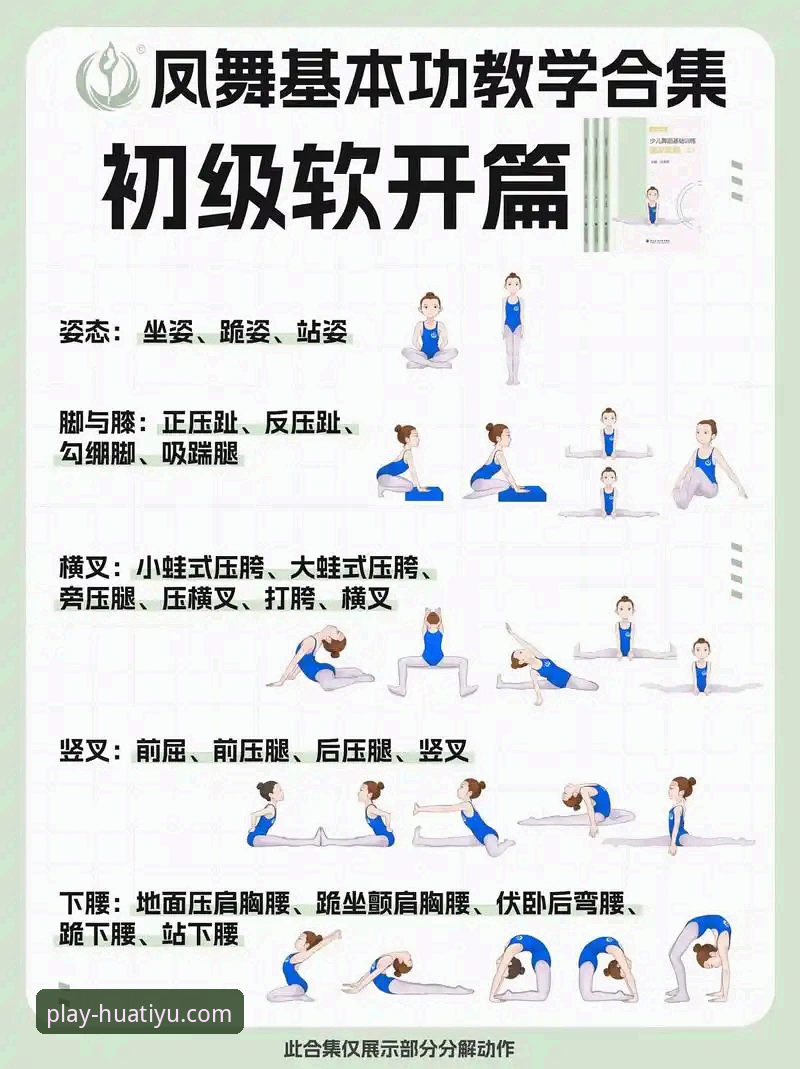 华体育平台实用攻略：从入门到精通必备知识